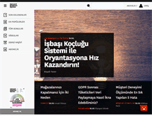 Tablet Screenshot of hbrturkiye.com